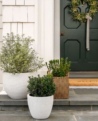 light grey fiberstone planters on home steps with green door and Christmas wreath