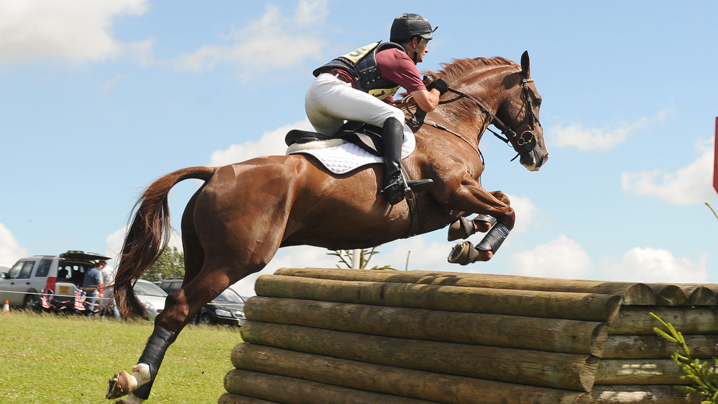 Gatcombe Festival 2008