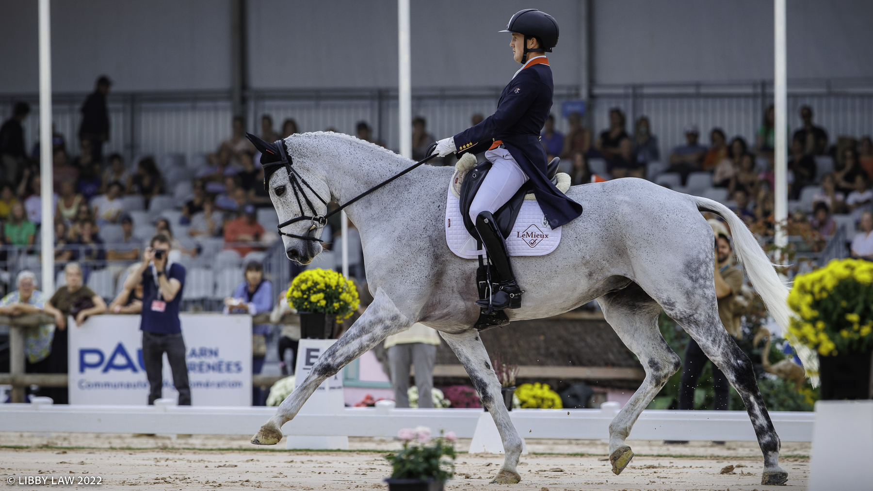 Pau Horse Trials dressage Tom McEwen and Bob Chaplin in their 2022 test