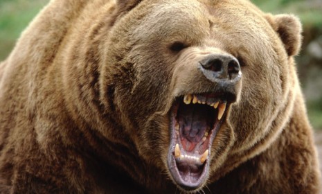 Thanks to the warm winter, bears are waking up from their months-long hibernation earlier than usual... and they're hungry.