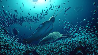 A reconstruction of the pelagic ecosystem and the organisms fossilised in Sirius Passet, revealing how Timorebestia was one of the largest predators in the water column more than 518 million years ago.