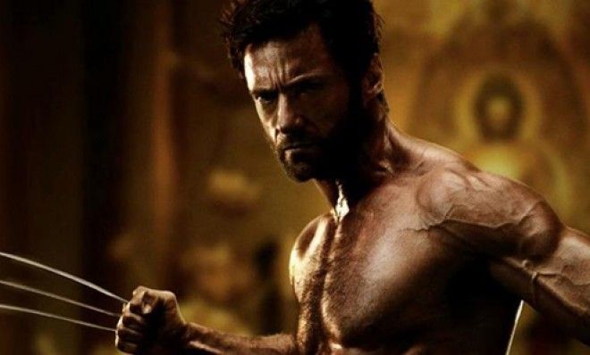 Wolverine