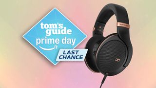 Sennheiser HD 505 headphones in black and rose fols on a pink gradient background