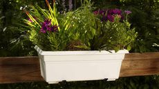 Best flower box