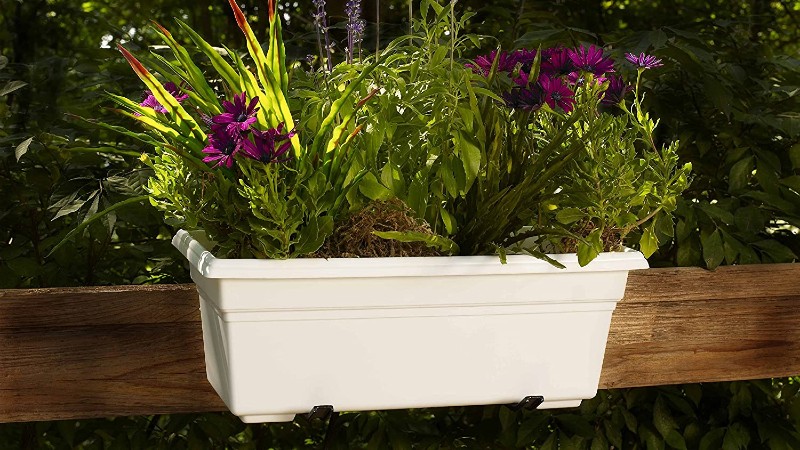 Best flower box