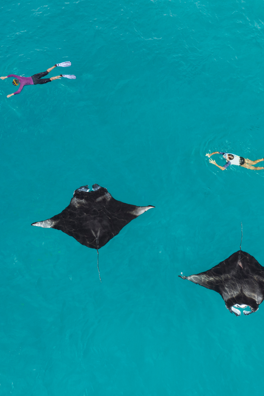 Westin Maldives