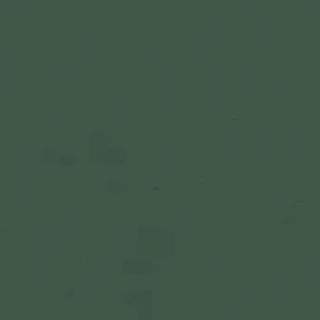 dark green paint from Lick