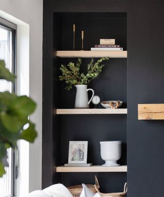 Black walls with rustic, light wood open shelves in alcove.