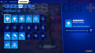 The Fortnite Accolades collection