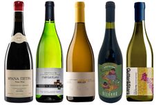 Wines of the year 2021 offbeat