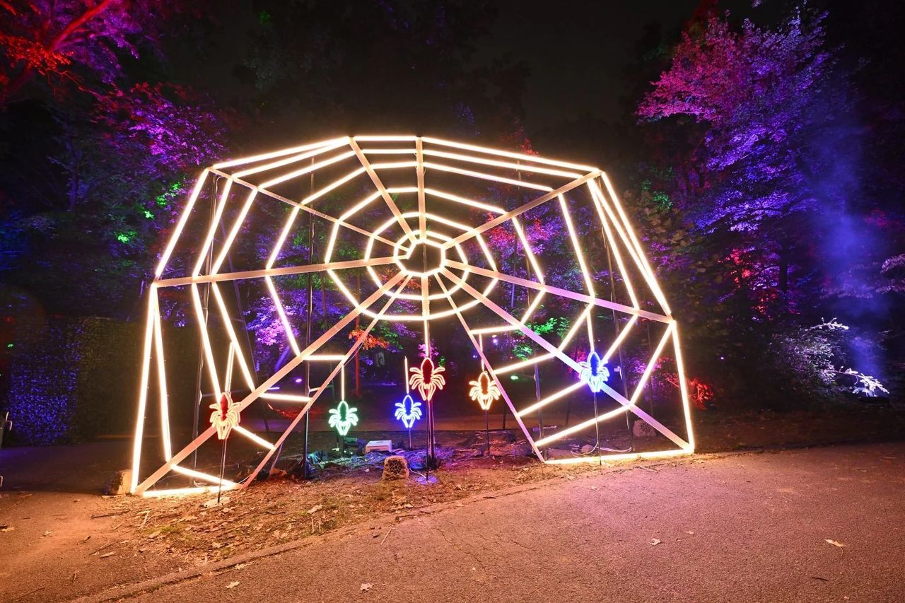 The Nightmare Before Christmas Light Trail.
