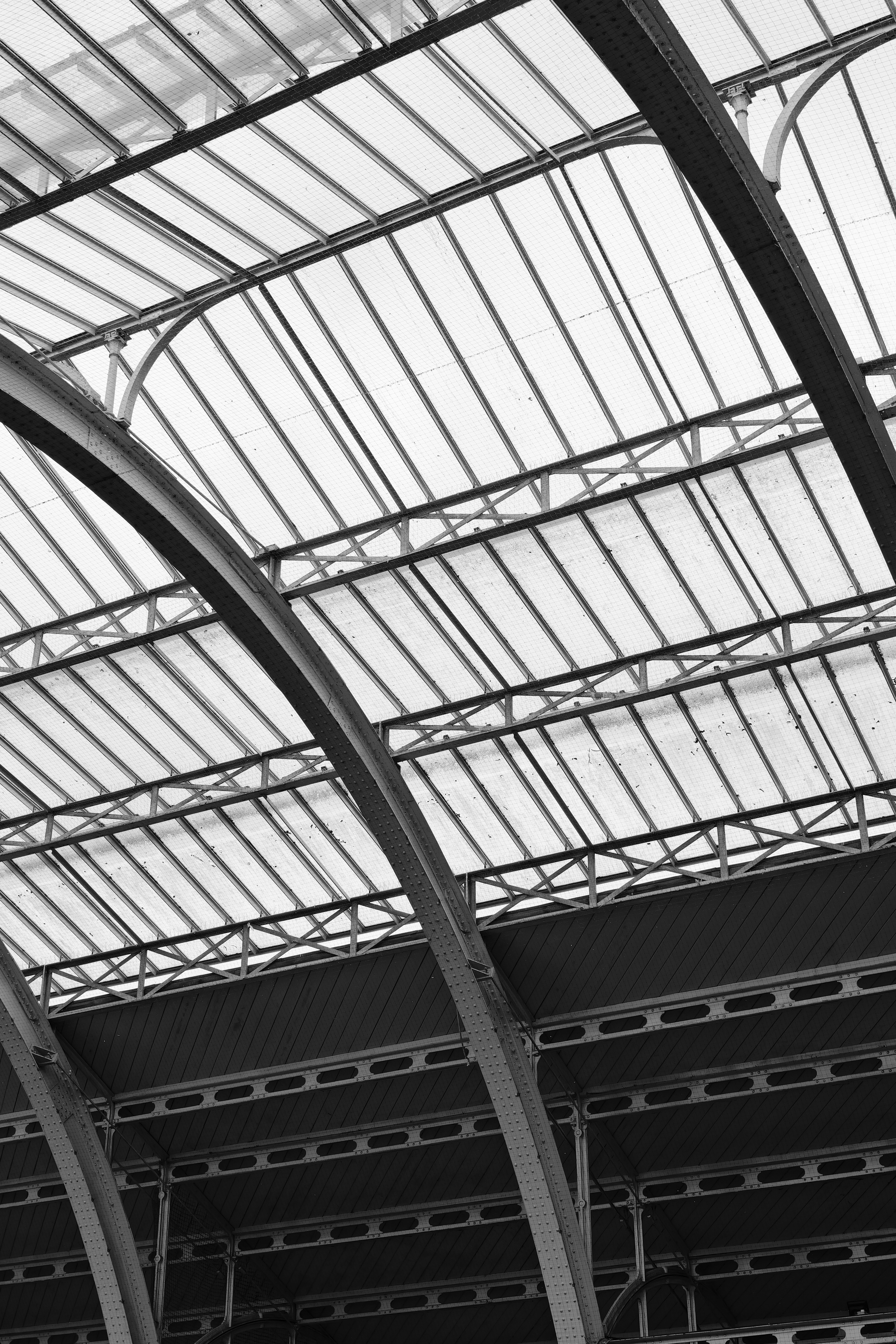 A photo taken on a Leica Q3 Monochrom black-and-white camera