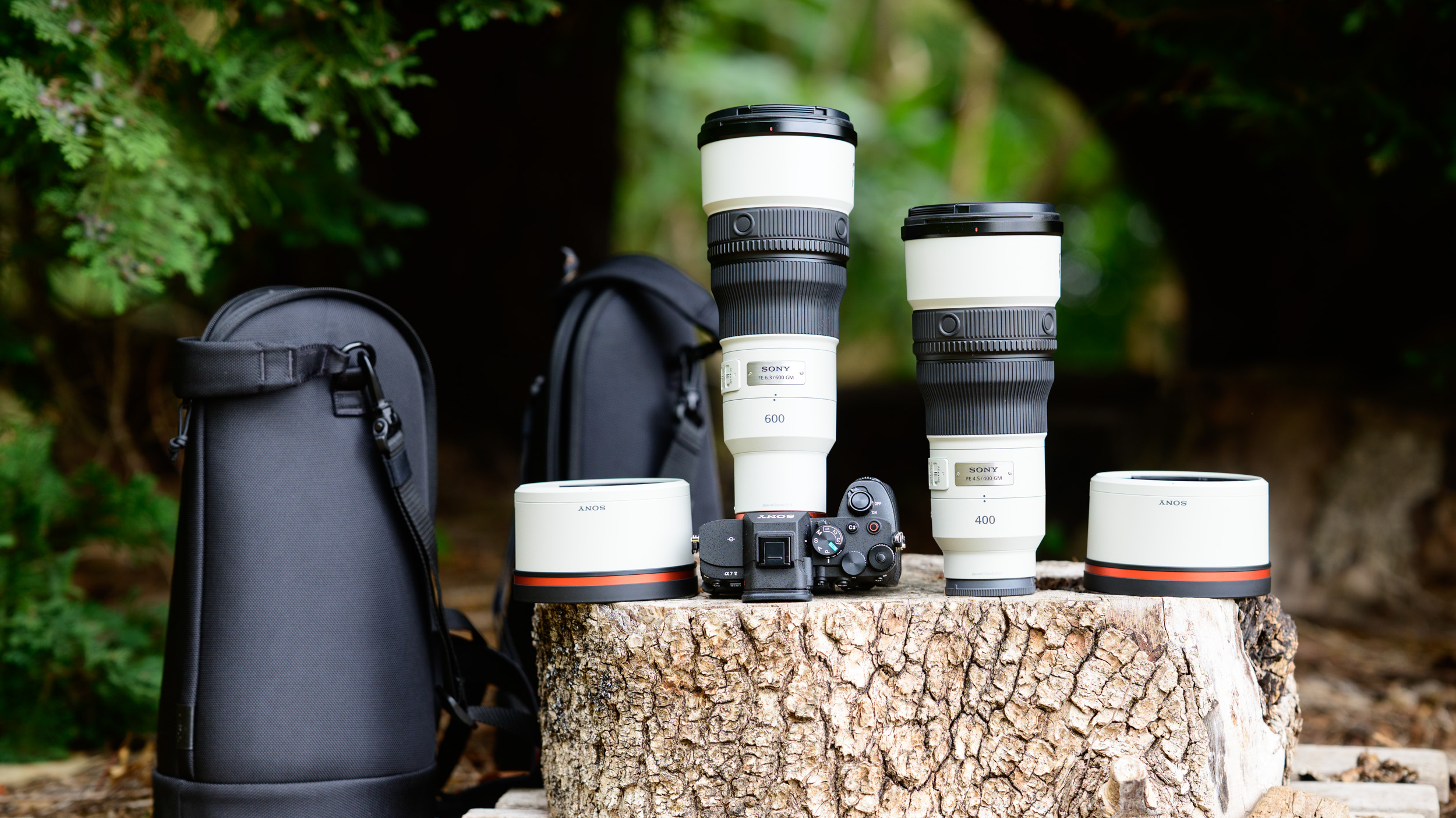Sony FE 400mm F4.5 GM OSS and Sony FE 600mm F6.3 GM OSS super-telephoto lenses on a tree stump, with the 600mm attached to a Sony A7R V camera, alongside lens hoods and lens soft case