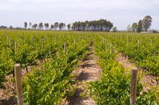 Argentina - South America