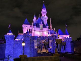 Sleeping Beauty's Castle