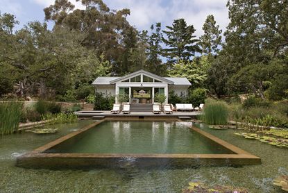A natural pool and pool house 