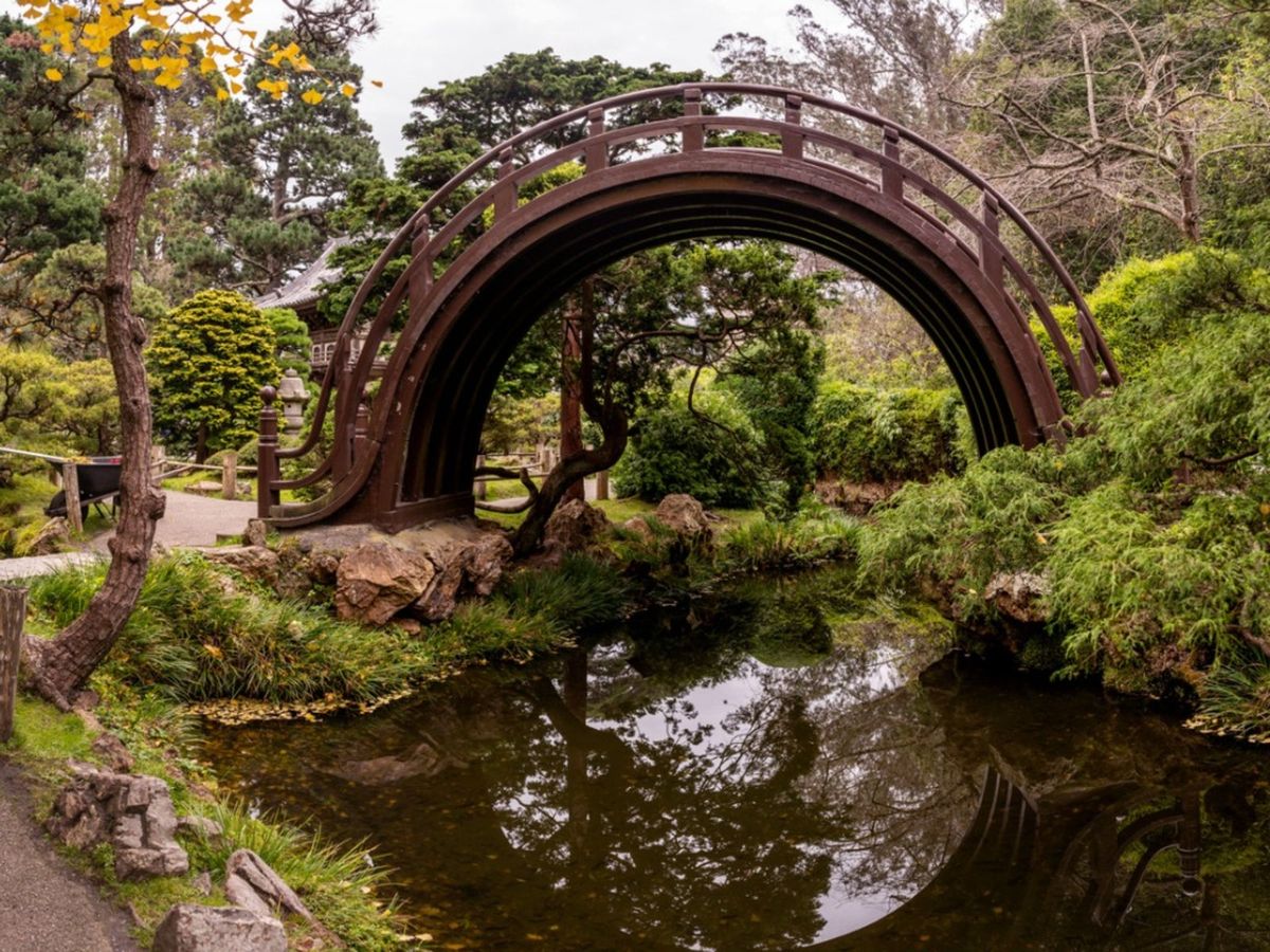 Sunny Japanese Gardens: Full Sun Plants For A Japanese Garden ...