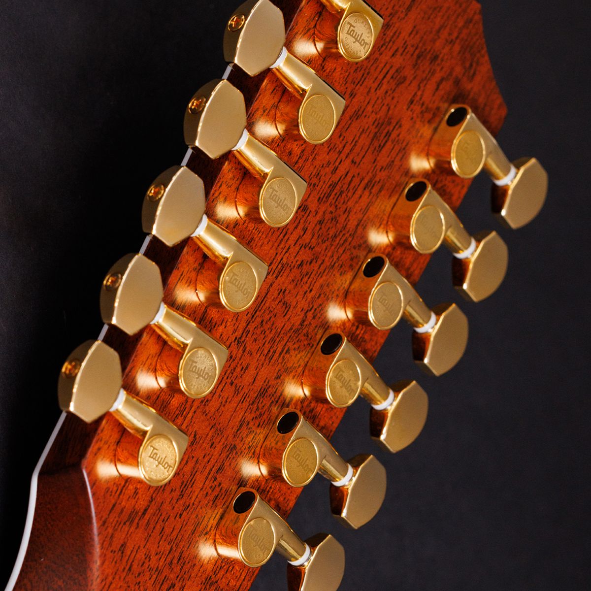 Photos of the Taylor Guitars 50th Anniversary 858E LTD Grand Orchestra 12-String