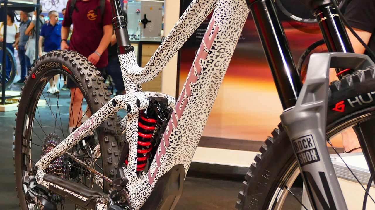 Isabeau Courdurier's Lapierre Spicy custom