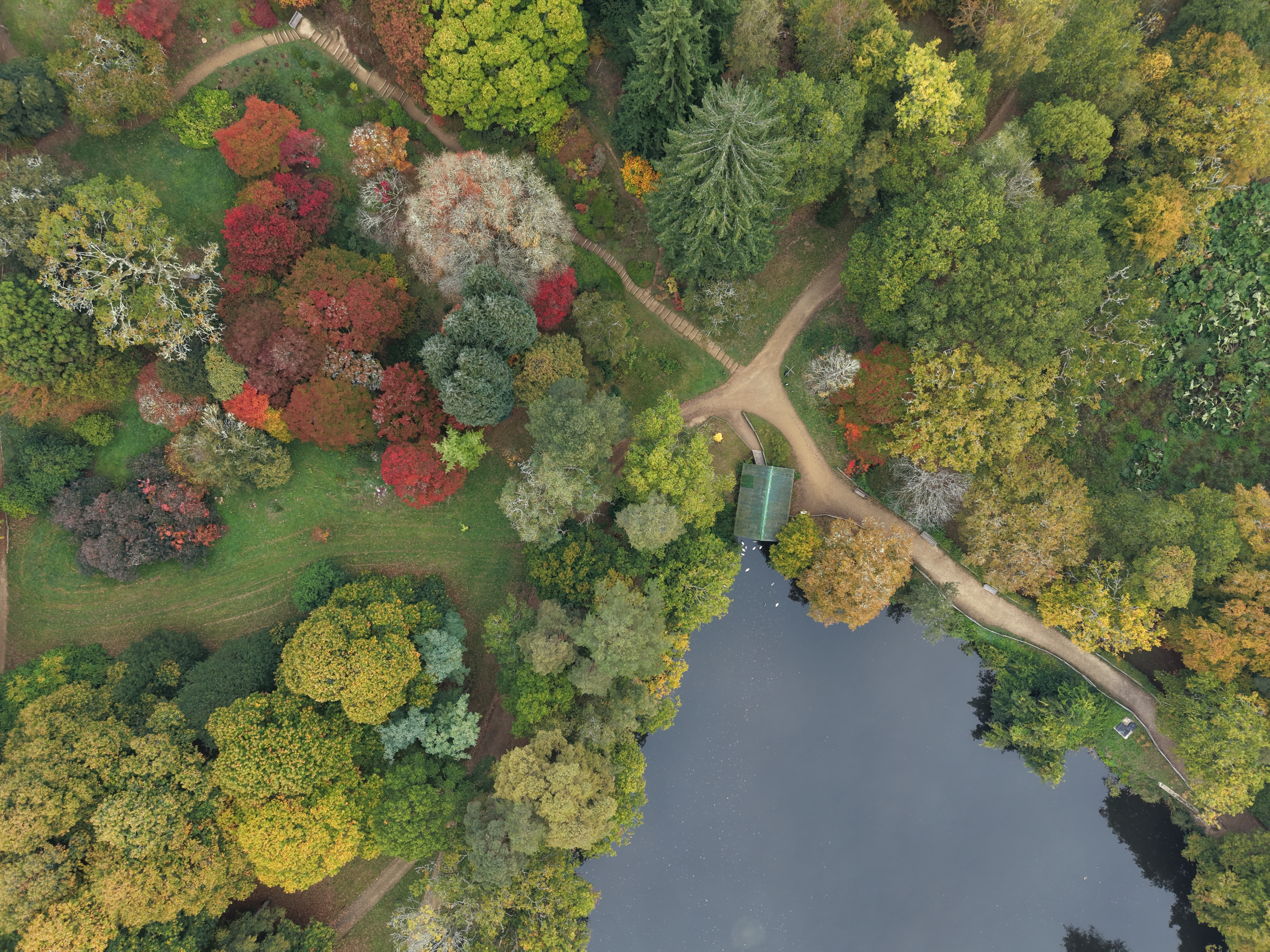 DJI Mini 5 Pro sample images: aerial view of an autumnal arboretum