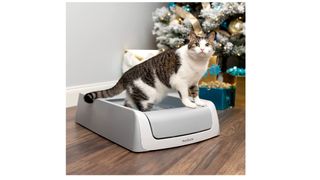 PetSafe ScoopFree Self Cleaning Cat Litter Box