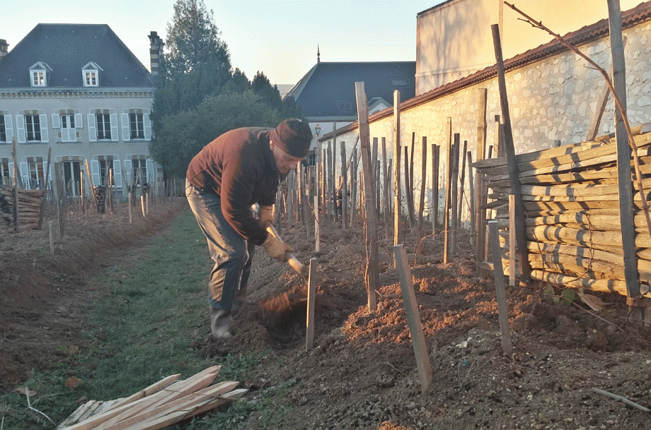 Bollinger Vieilles Vignes Fran&ccedil;aises