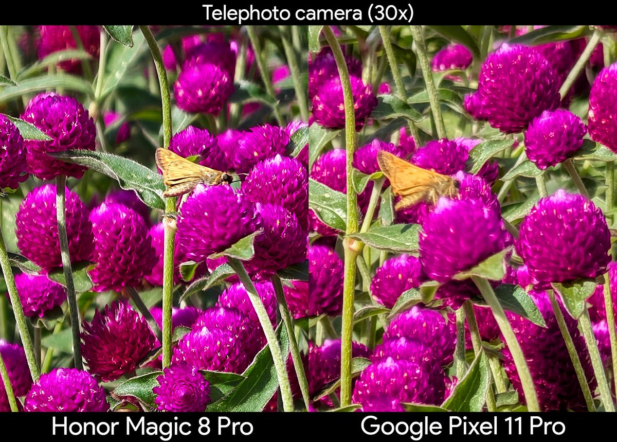 Comparing super zoom photos taken from the Google Pixel 11 Pro and its competitors