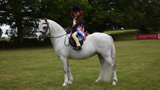 DSC_0259.jpg