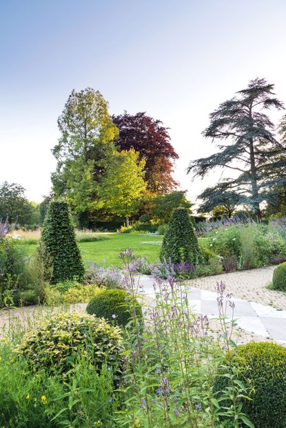 The junction of the terrace and the lawn, with beech pyramids, Veronicastrum virginicum and Verbena hastata f. rosea &lsquo;Pink Spires&rsquo;. The gardens of Ready Token House, Gloucestershire. &copy;Mimi Connolly