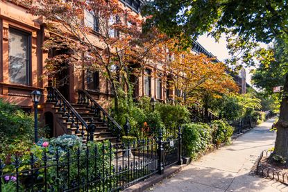 Brick brownstones in a fall scene with changing leaves