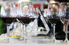 bordeaux 2016 wines, ugc, hangar 14