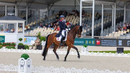 Carl Hester and Fame on their way to helping Britain to second place in the FEI Dressage Nations Cup at Fontainebleau.