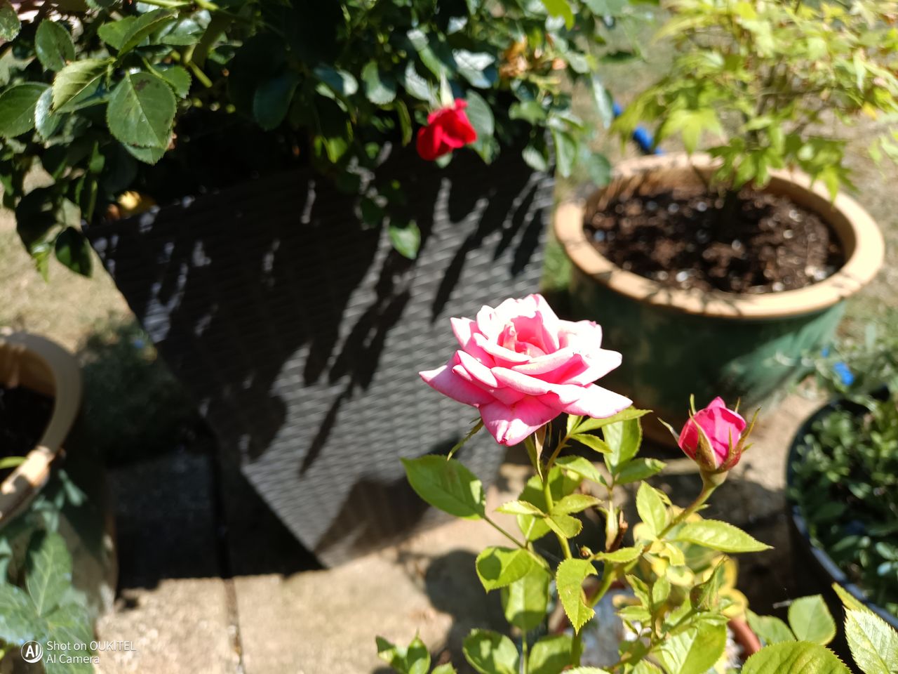 Oukitel WP68 Air Photo Examples