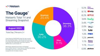 Nielsen's The Gauge TV viewing data