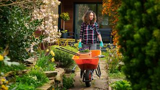 What to do to your garden in spring
