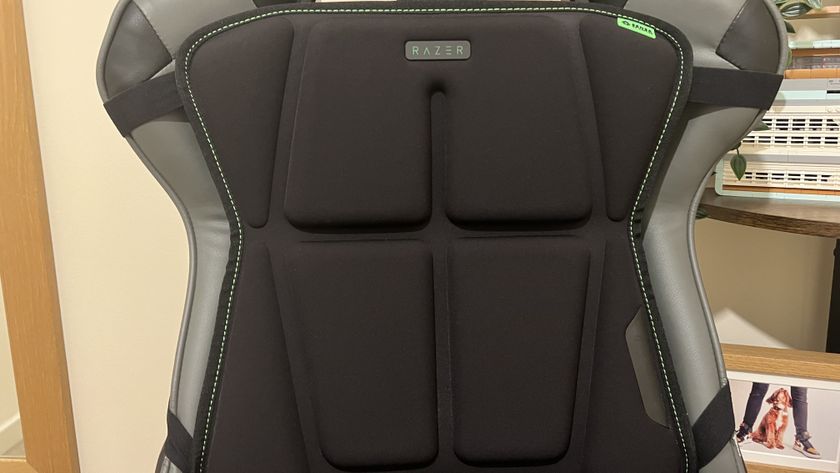 Razer Freyja back cushions