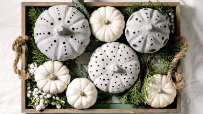 White pumpkins halloween trend