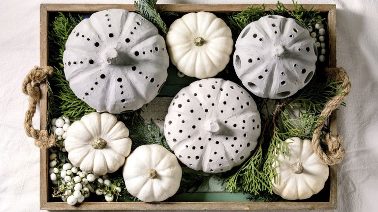 White pumpkins halloween trend