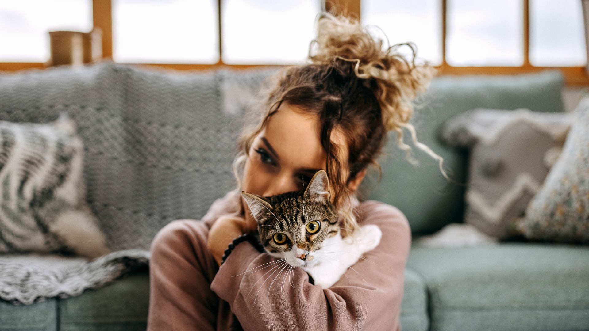 cat