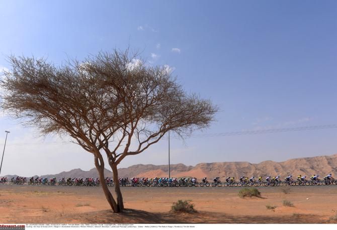 The Dubai Tour peloton rolls along amidst the desert landscape
