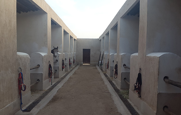 Traditional stables at the stud