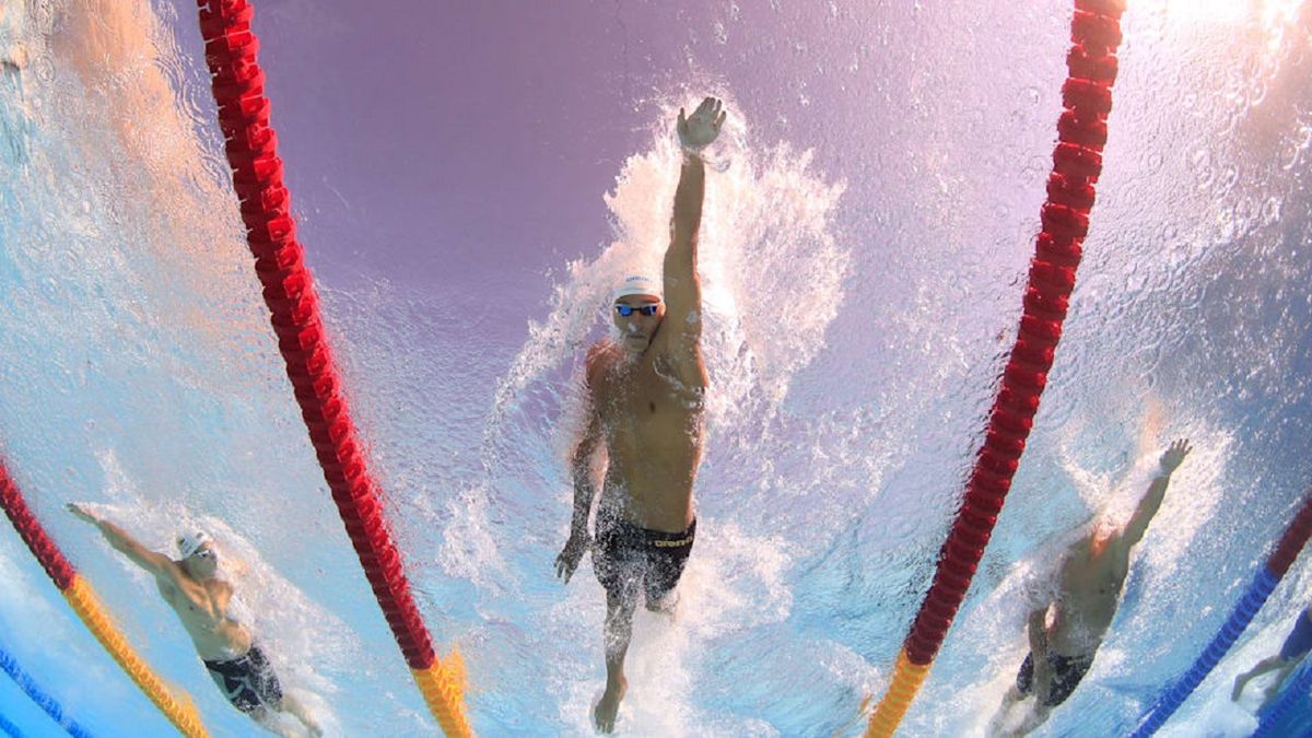 Athletes slicing through the water at an Olympic size pool