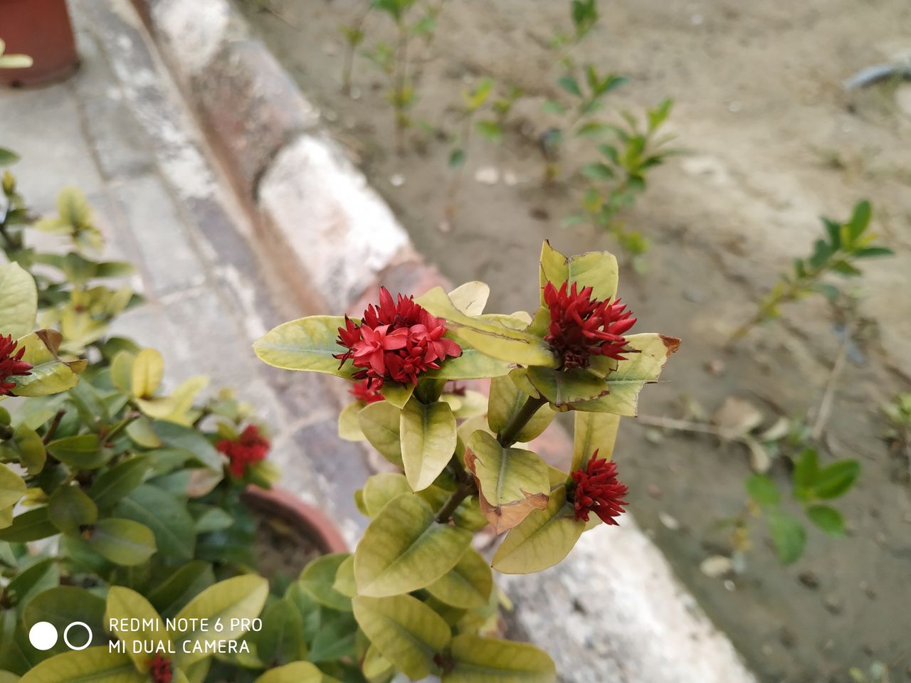 Redmi Note 6 Pro