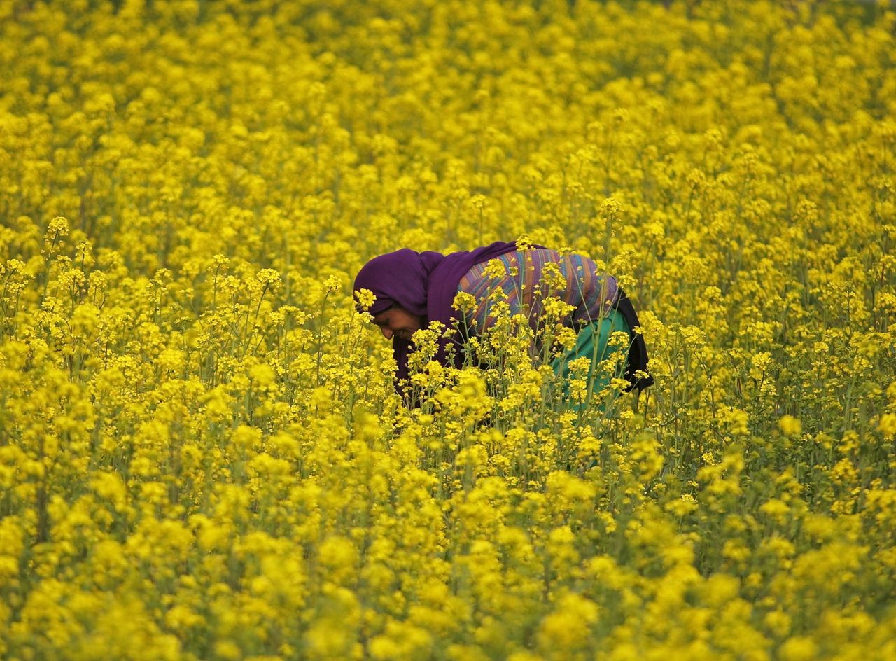 The week&amp;#039;s best photojournalism