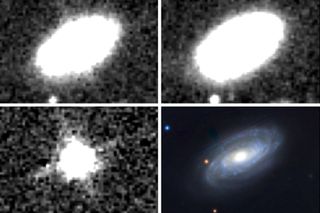 Four images of a bright smudge of light that turned out to be a black hole eating a star in a distant galaxy