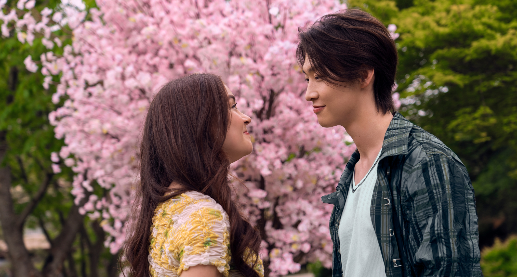 Anna Cathcart as Kitty Song Covey, Sang Heon Lee as Min Ho Moon smiling at each other outside by a cherry blossom tree in xo kitty season 3