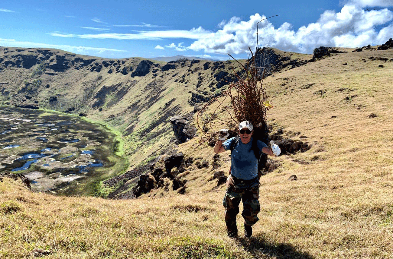 Easter Island Rapa Nui vine rescue Chile extreme viticulture