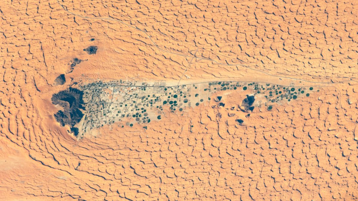 Ancient lake full of crop circles lurks in the shadow of Saudi Arabia's 'camel-hump' mountain — Earth from space