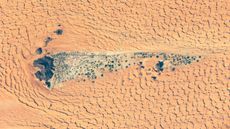Satellite photo of a town full of crop circles next to a mountain in the desert