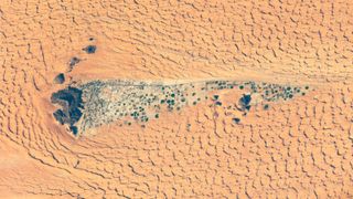 Satellite photo of a town full of crop circles next to a mountain in the desert